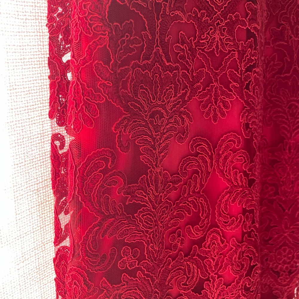 Tadashi Shoji Silas Embroidered Lace Dress Red 6 NWOT - Picture 4 of 6